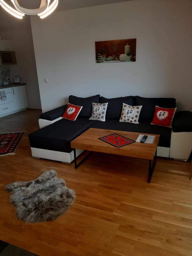 Apartamenty Z Widokiem Закопане Экстерьер фото